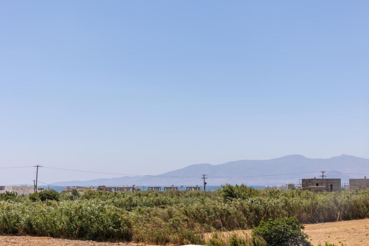Depis Edem Luxury Villas Naxos Pláka 外观 照片